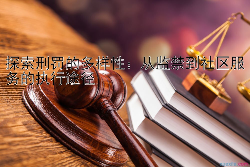 探索刑罚的多样性：从监禁到社区服务的执行途径