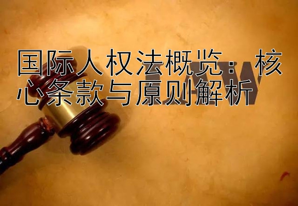 国际人权法概览：核心条款与原则解析